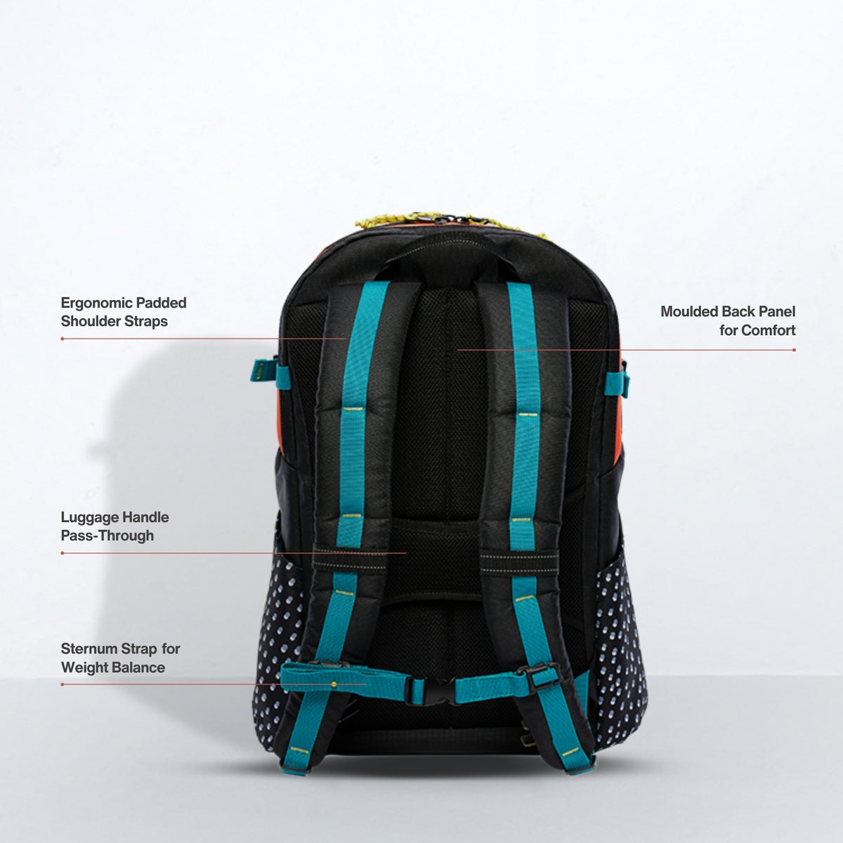 Alpha 20L Backpack