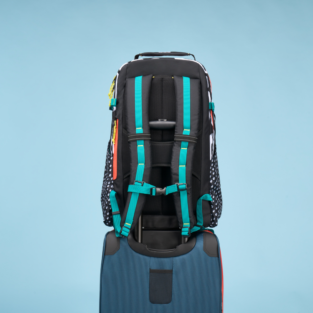 Ogio Alpha 25L Backpack 25L