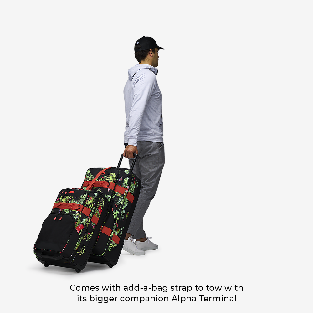 Alpha Layover