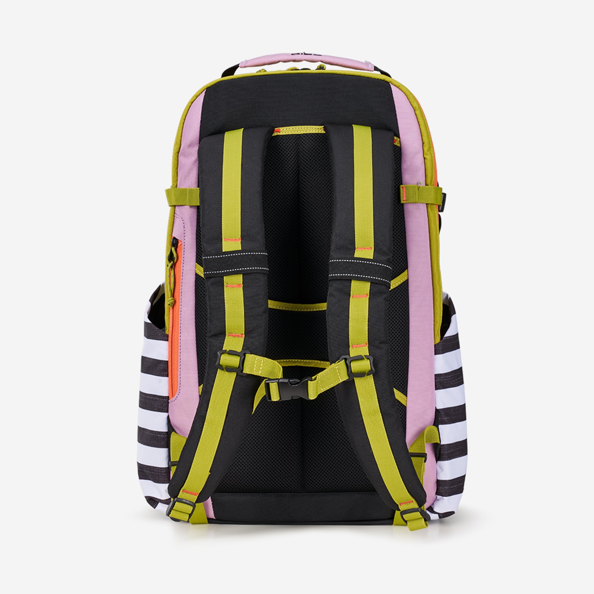 Review: Langly Alpha Pro Backpack Camera Bag